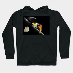 Wrinkled hornbill Hoodie